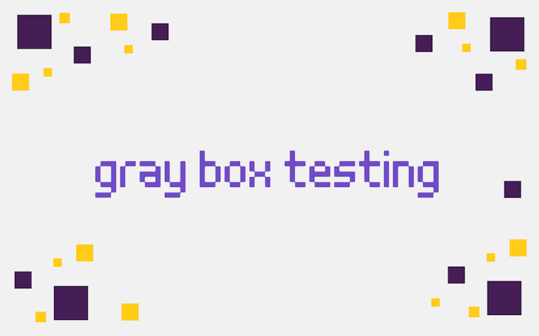 gray box testing